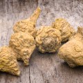 The Power of Maca Root for Women: An Expert's Perspective